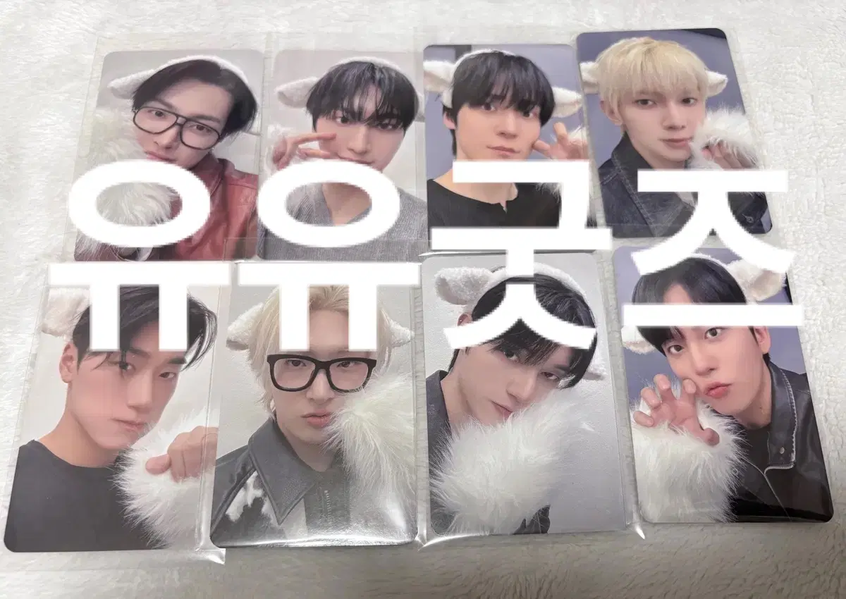 에이티즈 보송티즈 1세트포카