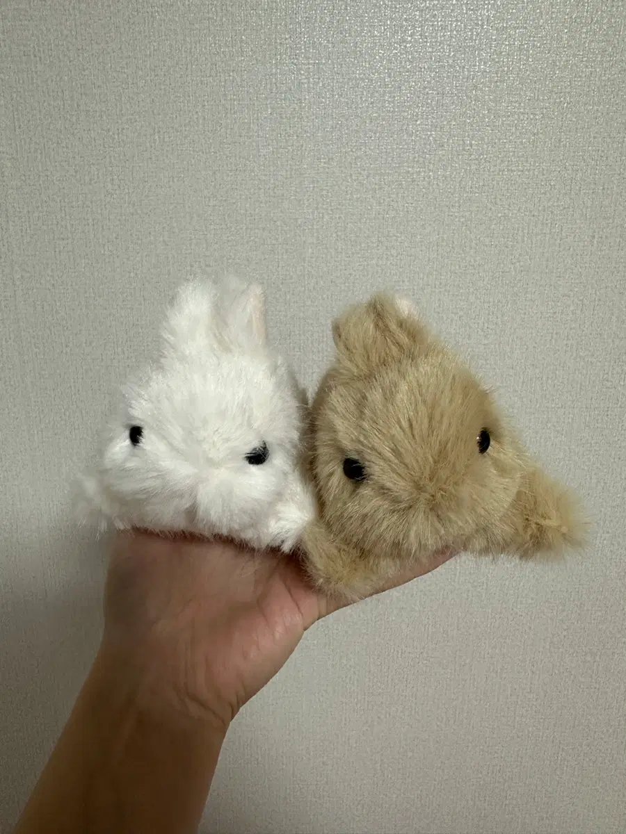 토끼 인형 베이지/ 화이트 판매