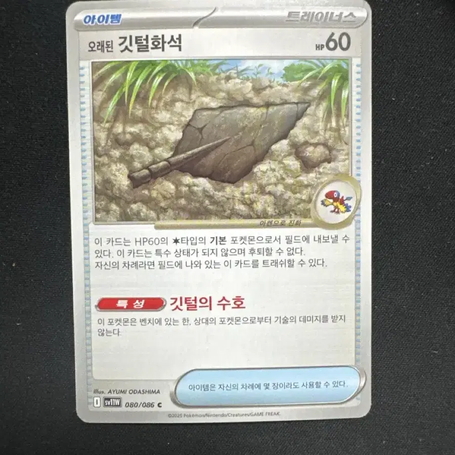 포켓몬 카드 오래된 깃털화석 덱소스 카드