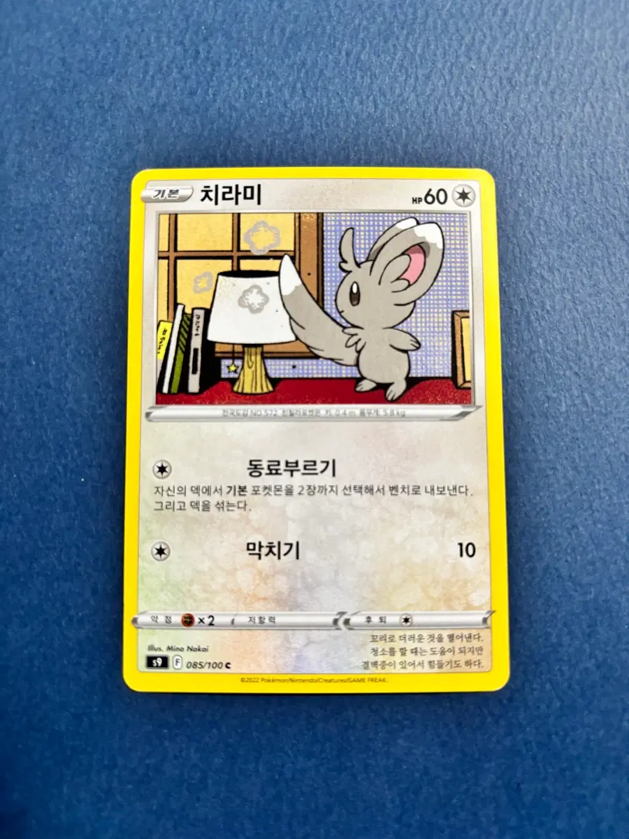포켓몬카드 치라미 일반카드 도감용 덱소스 s9 085/100