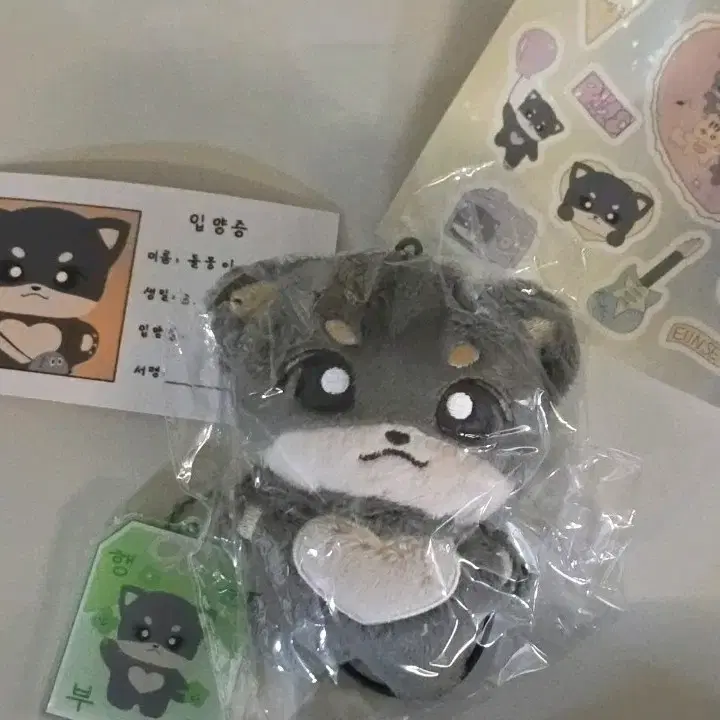 돌뭉이 라이즈 은석 인형 미개봉 특전