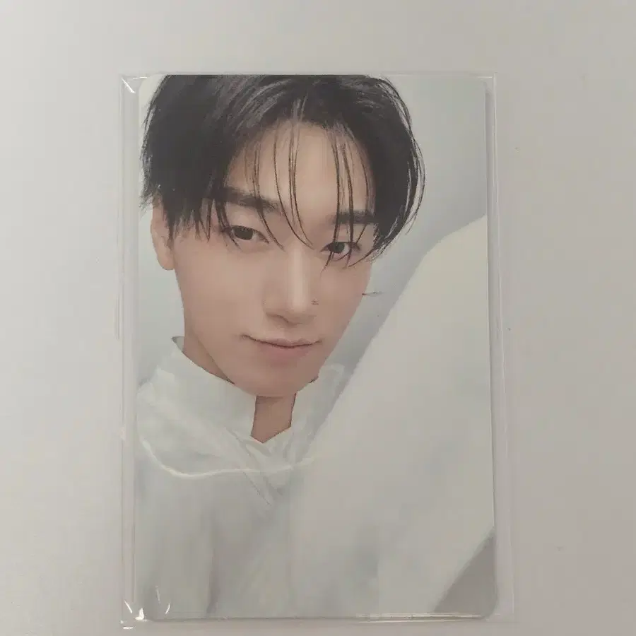 에이티즈 산 입장 포카 사운드웨이브 Aniteez in Dejavu 애니티즈 팝업 포카 트레카