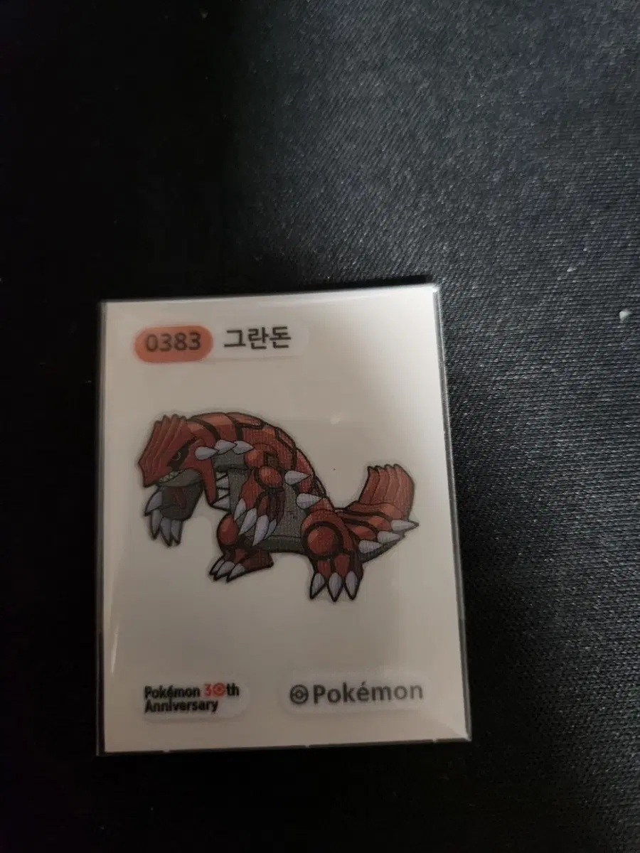 포켓몬 그란돈 30주년 기념 띠부씰