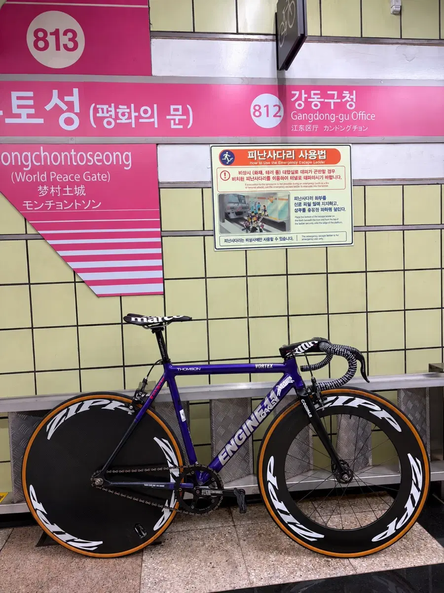엔진11 보라텍스