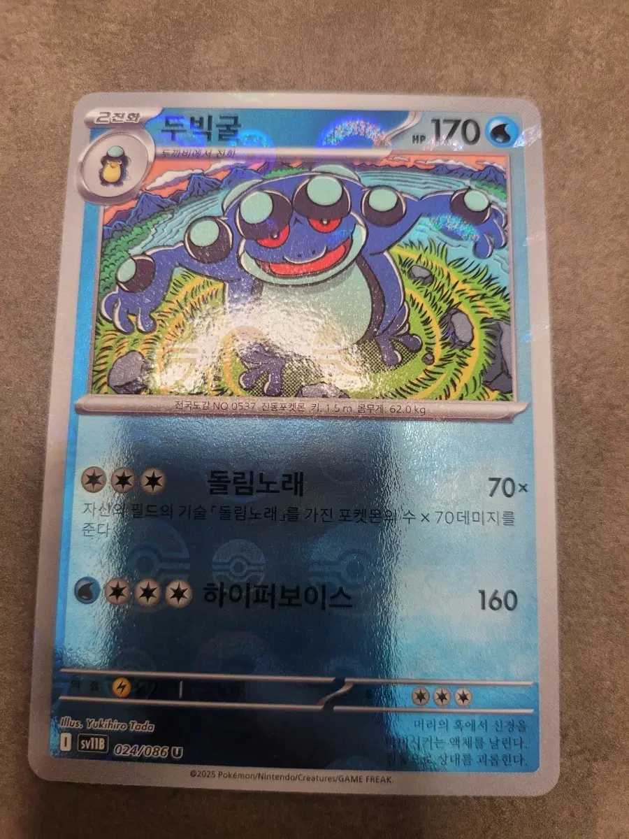 포켓몬 카드 두빅굴 몬스터볼