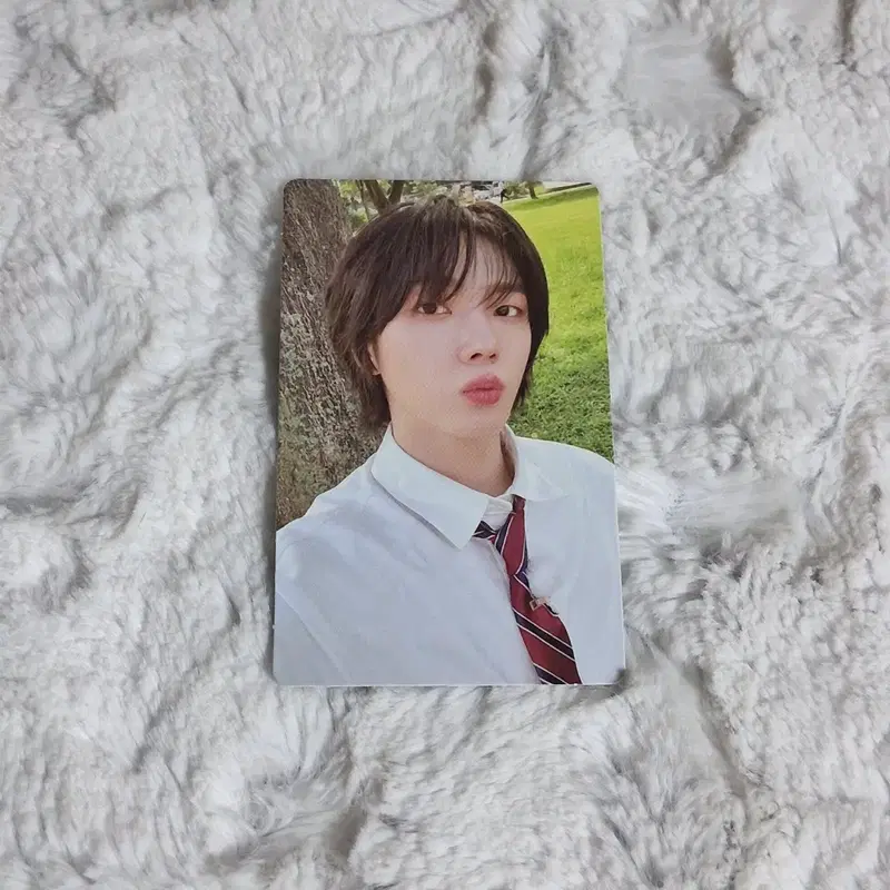 보이넥스트도어 보넥도 WHY M2U 엠투유 럭드 성호 양도