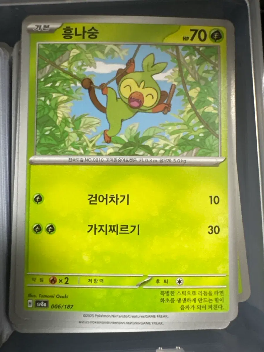 포켓몬 카드 흥나숭 덱소스 카드