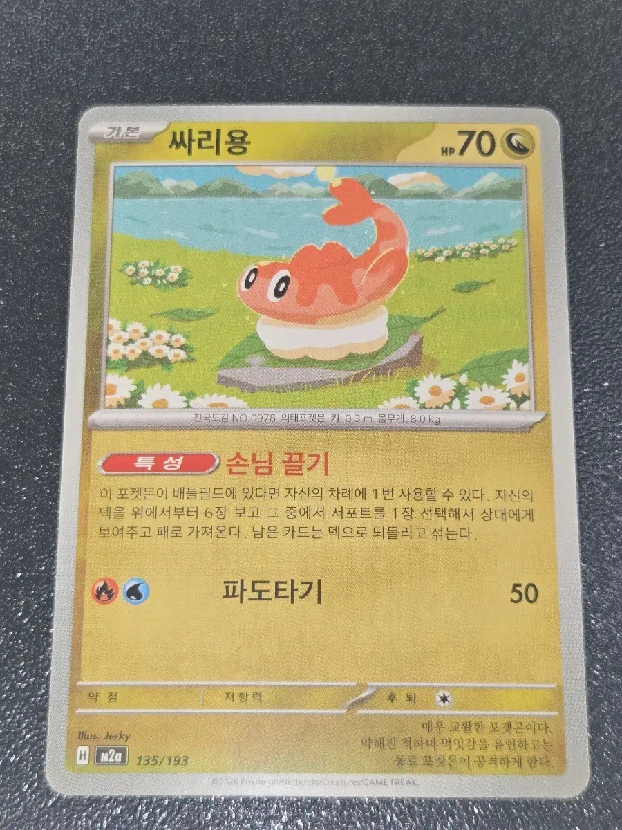 포켓몬 카드 싸리용 135/193