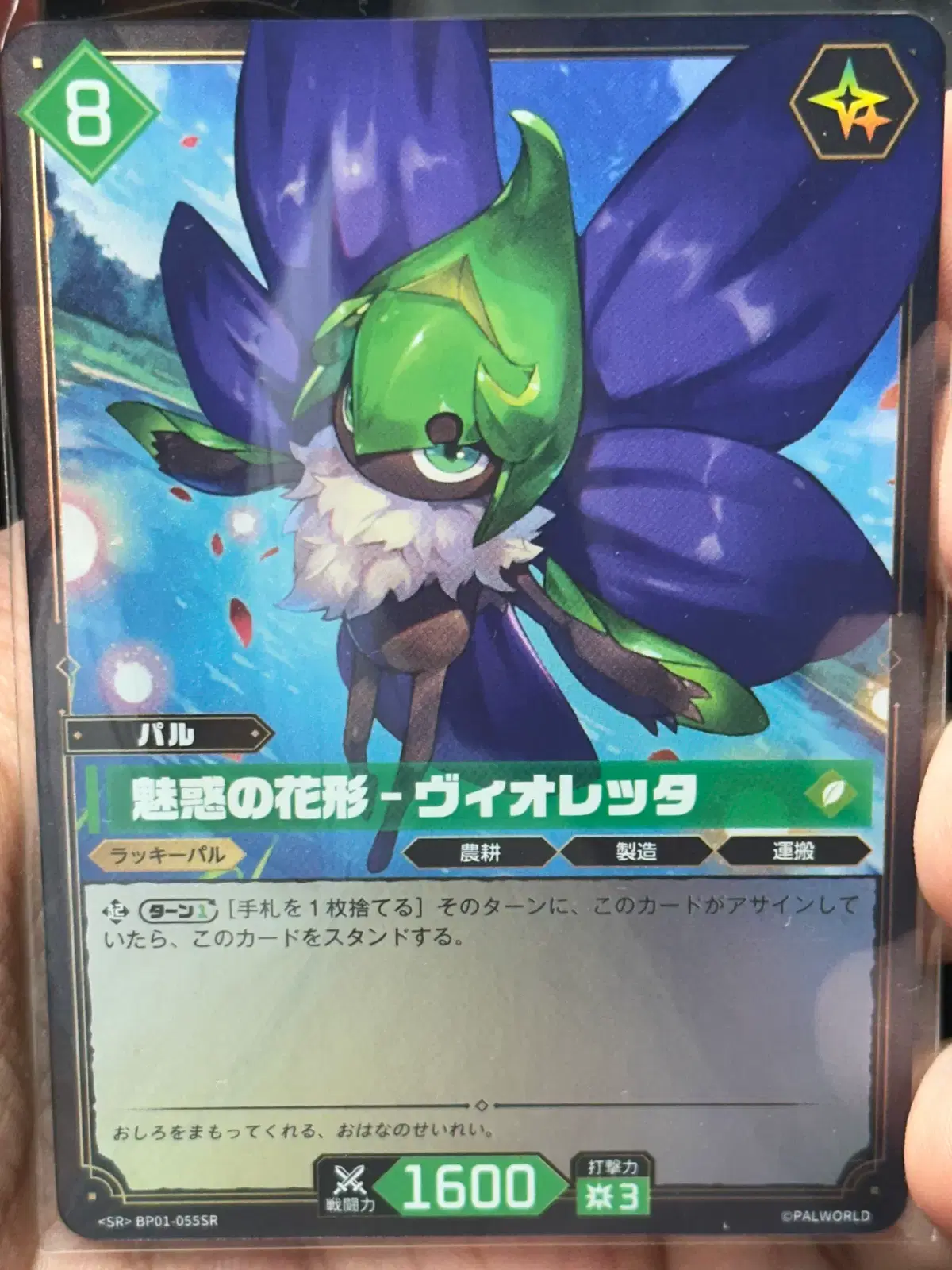 [매혹의 스타 - 비오레타 SR] 1장 팰월드 OCG 카드 - 팰파고스의 새벽