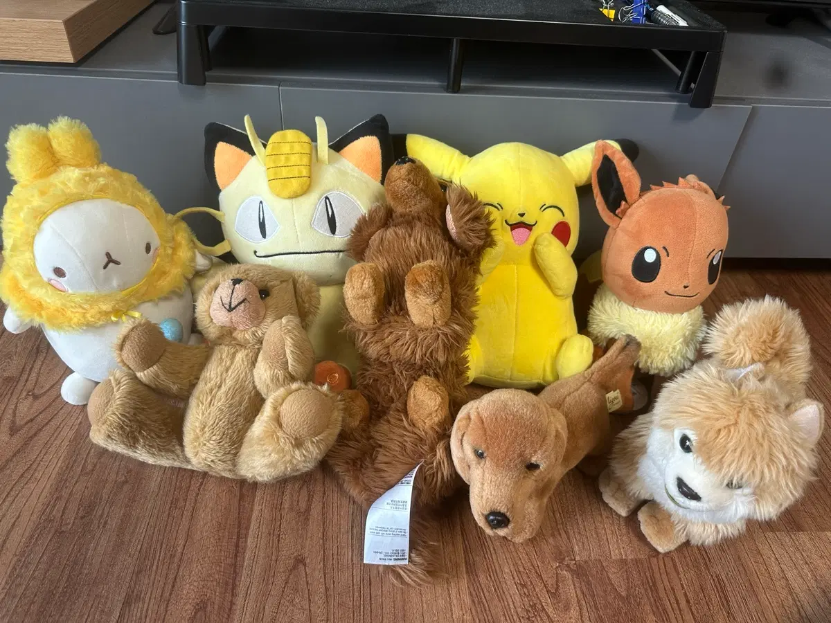 포켓몬, 강아지, 몰랑이, 곰돌이 인형 세트