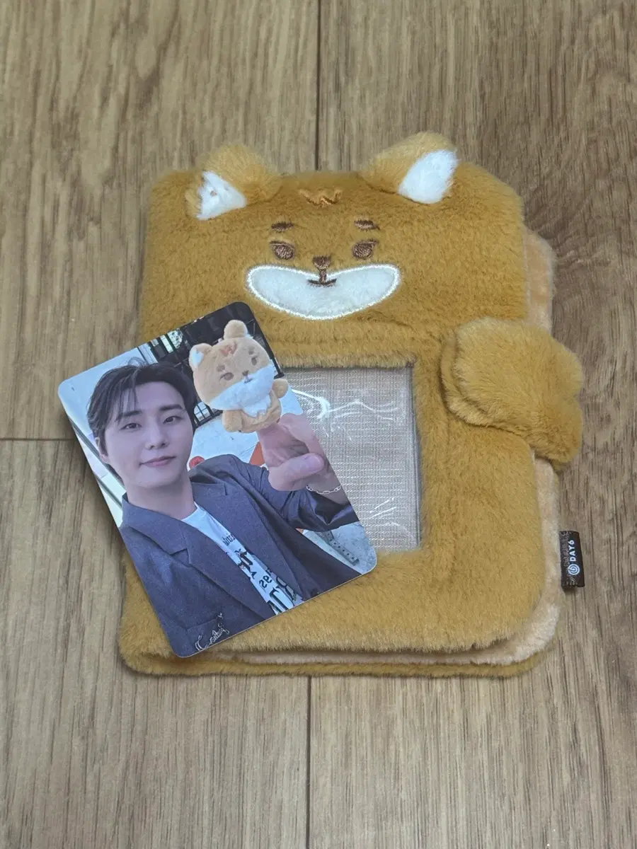 (미사용) 데이식스 쁘띠멀즈 플러시 콜렉트북 케