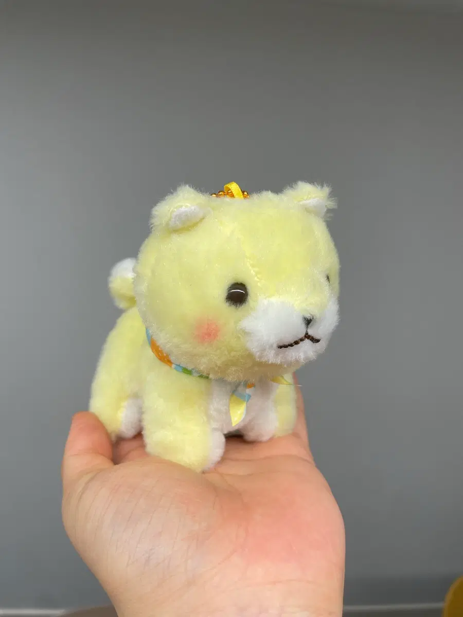 레몬 강아지 키링 인형