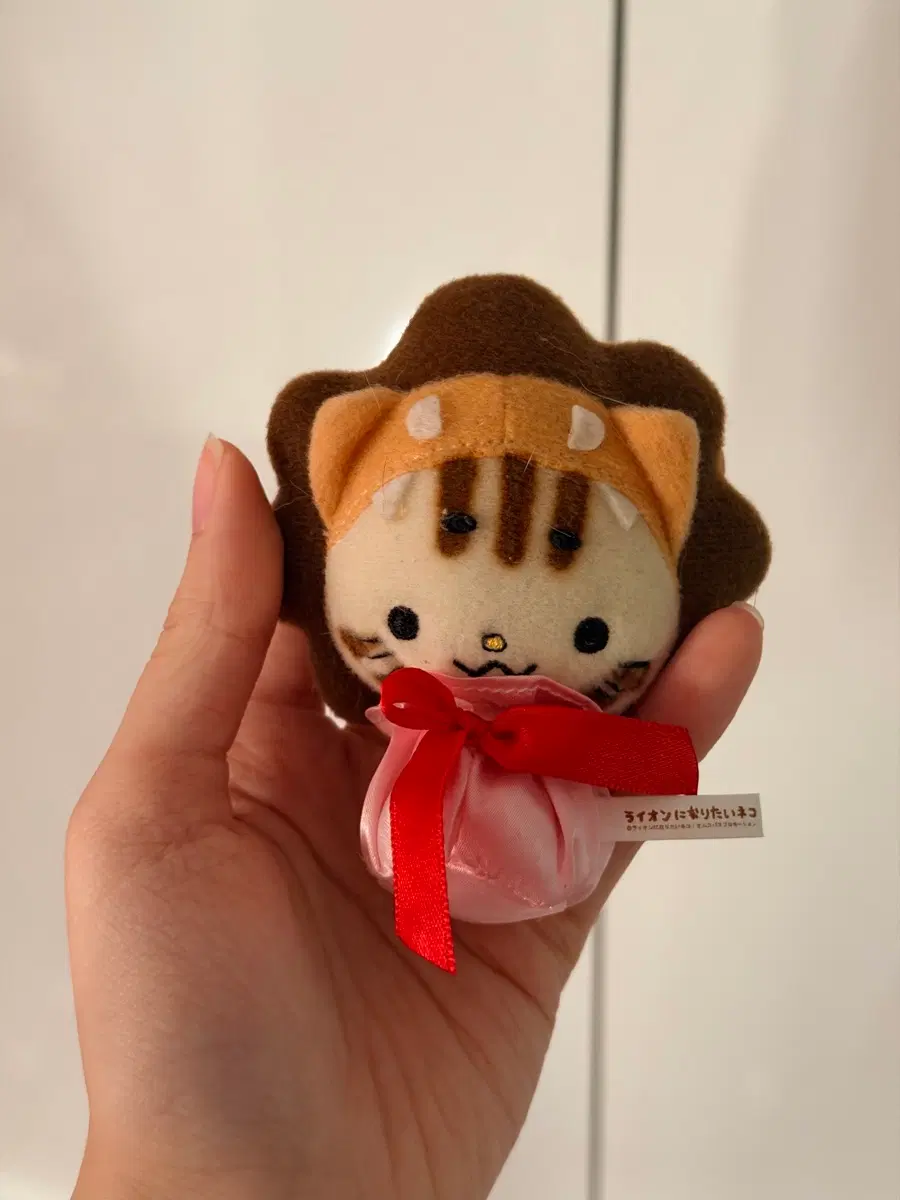 (고전빈티지) 사자가 되고싶은 고양이 인형키링