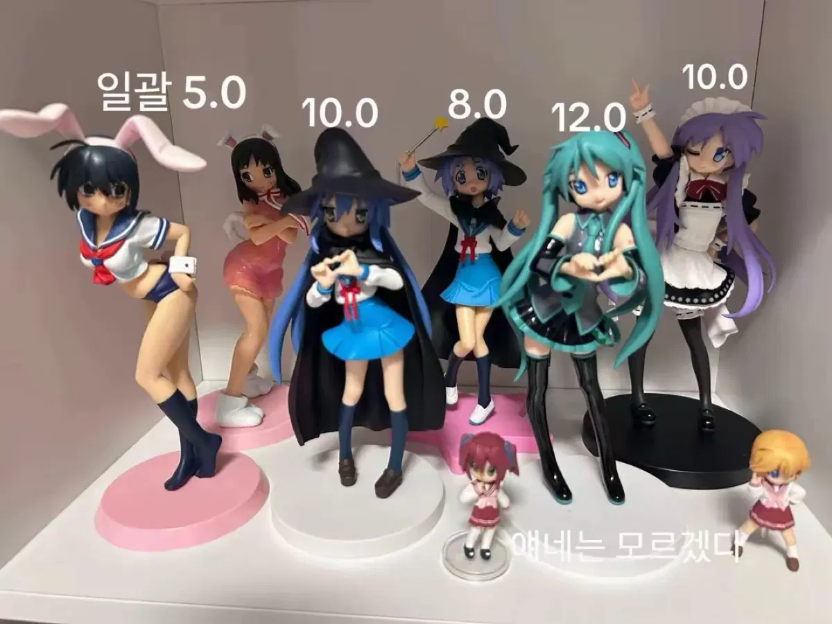 러키스타, 이사람이나의주인님, 미쿠 등 피규어 판매