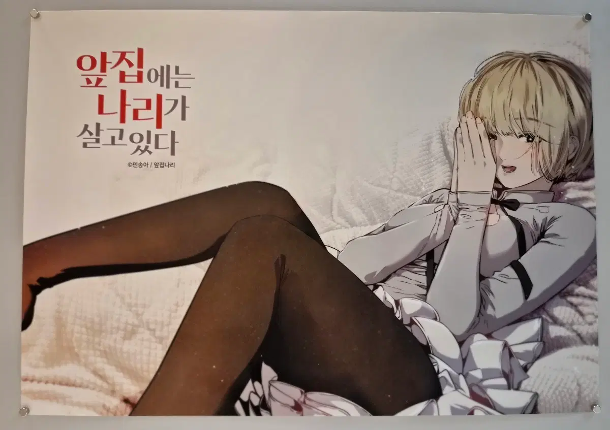 앞집에는 나리가 살고 있다  포스터