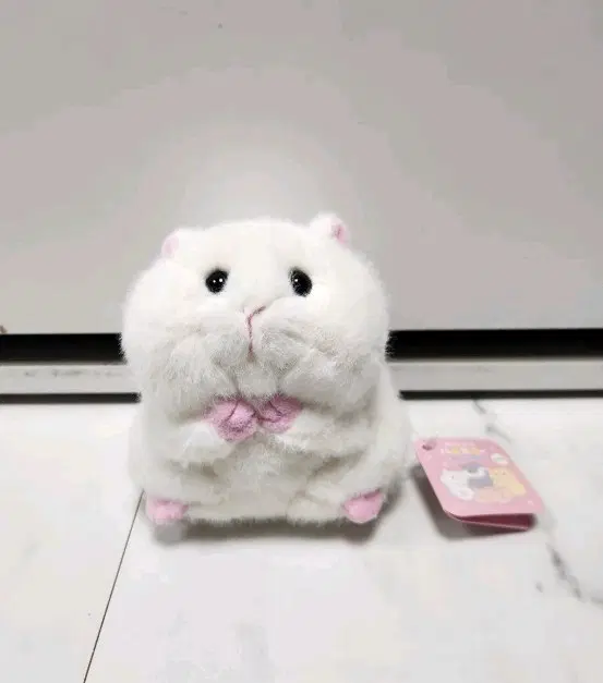 [일괄]모루못토상 기니피그 인형 키링 3종
