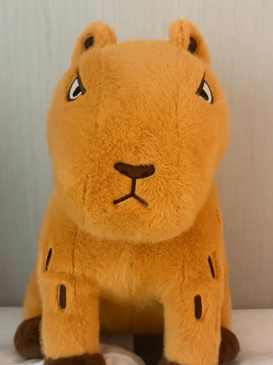 정석준T 카피킹