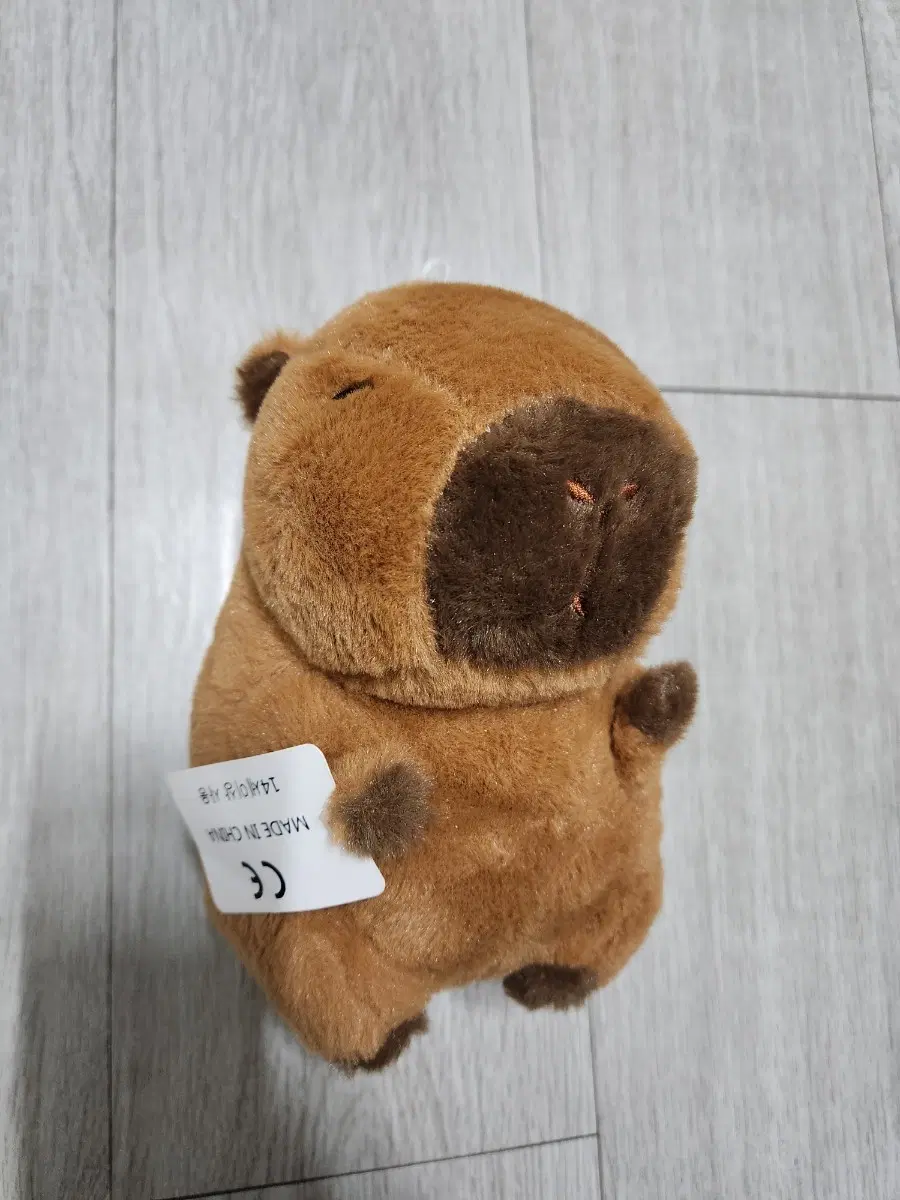 아주 일반적인 카피바라 인형