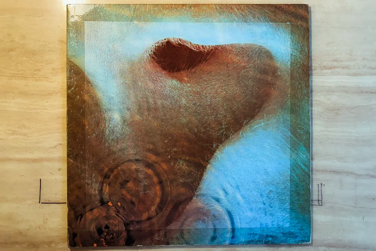 영국제작 오리지널 핑크 플로이드 lp Meddle Pink Floyd lp