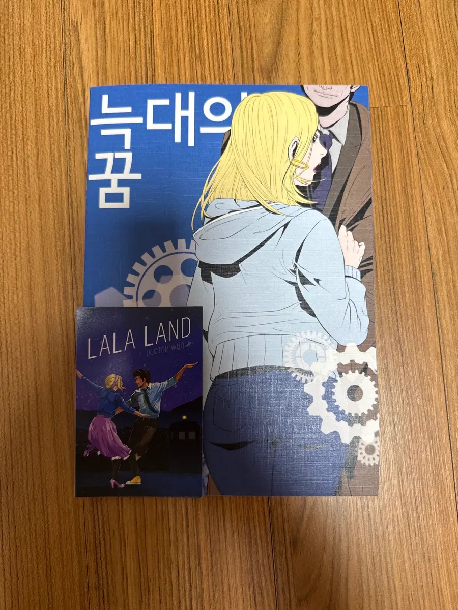 닥터후 회지
