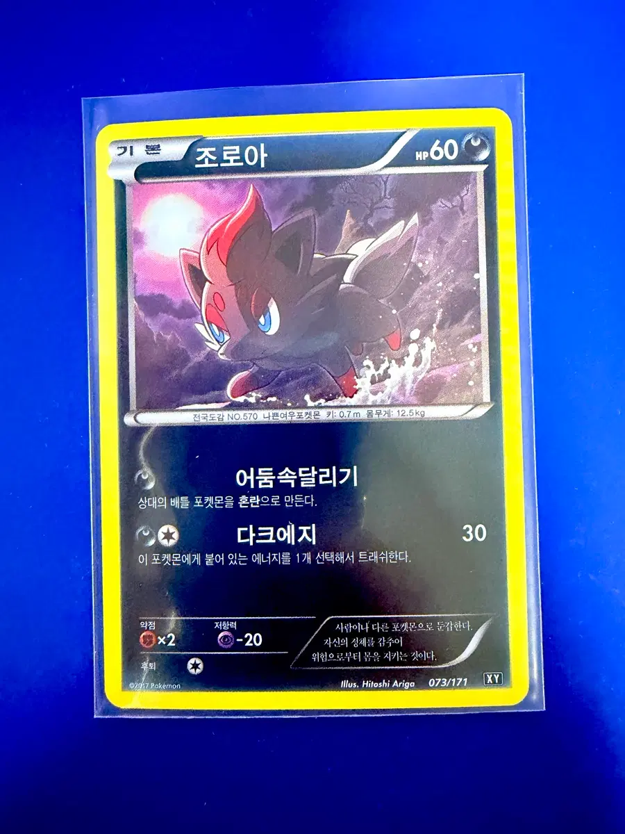 포켓몬카드 2017년 고대카드 XY 조로아 카드