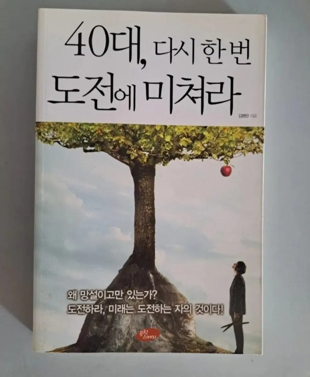 서적 40대 다시한번 도전에 미쳐라