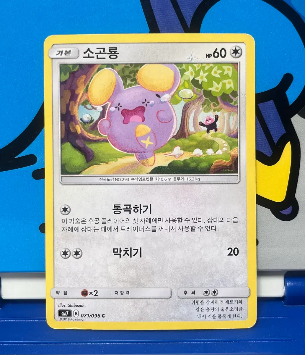 [고대 포켓몬카드] 소곤룡 071/096 C (까메오 카드) Shibuzoh 작가 초기 일러스트