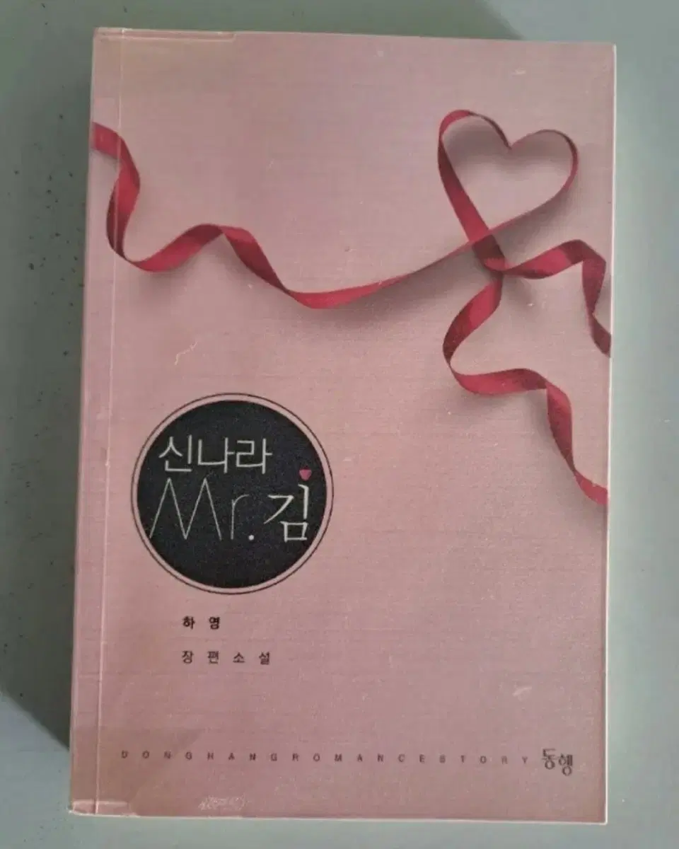 단권 소설책 신나라 Mr 김