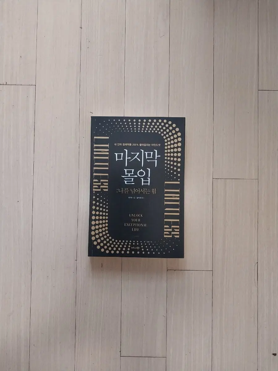 책/마지막 몰입