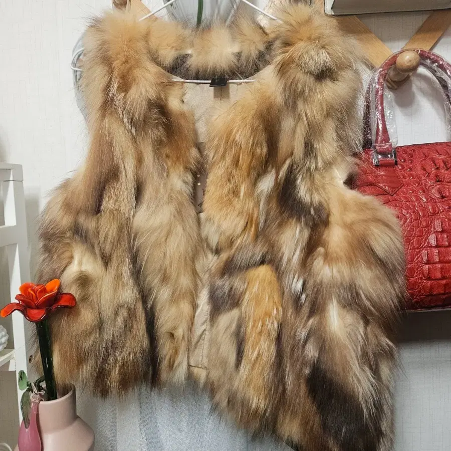 천연 라쿤 베스트