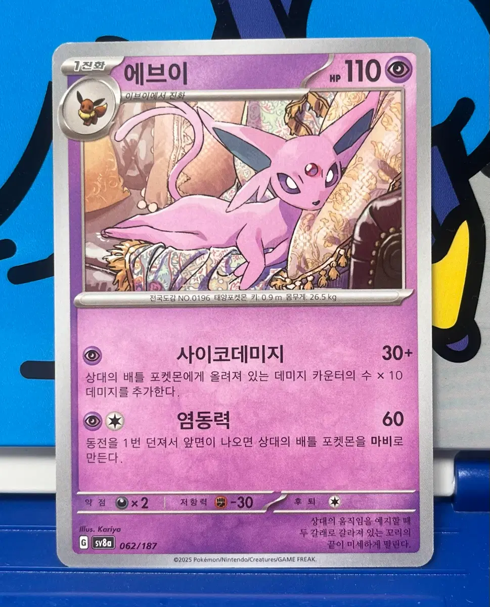 (포켓몬카드) 에브이 062/187