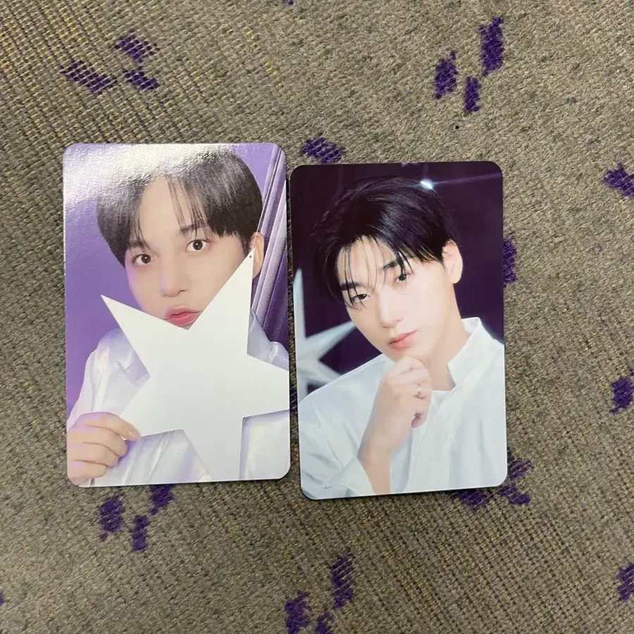 애니티즈 트레카 최산 / 종호