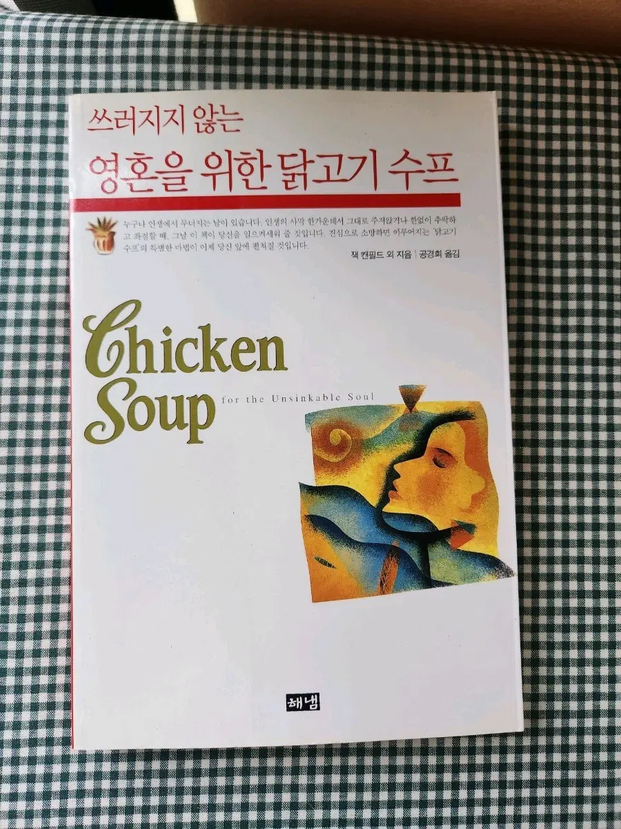 영혼을 위한 닭고기 수프 Chicken Soup for the Unsinkable Soul