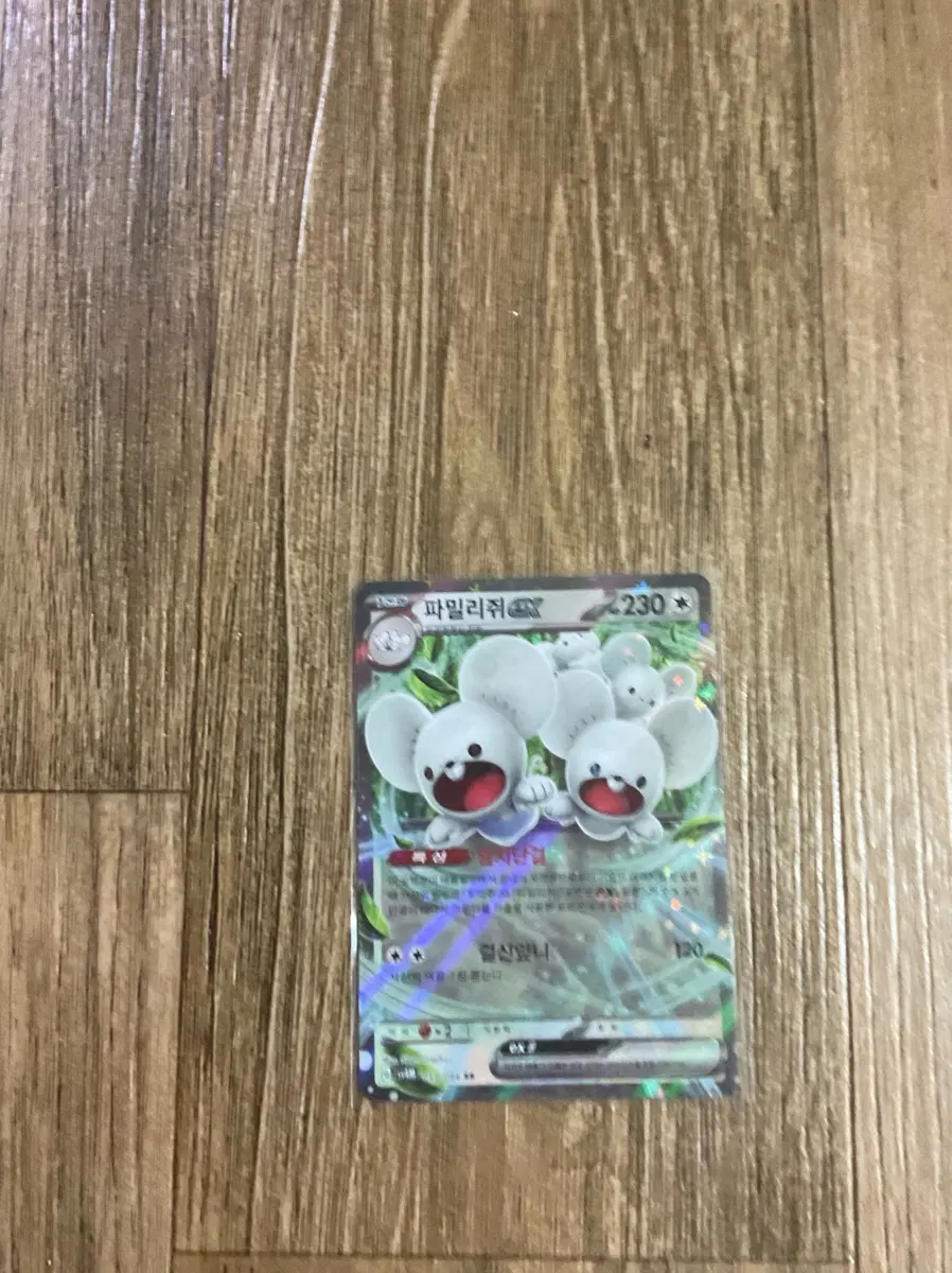 파밀리쥐 EX RR