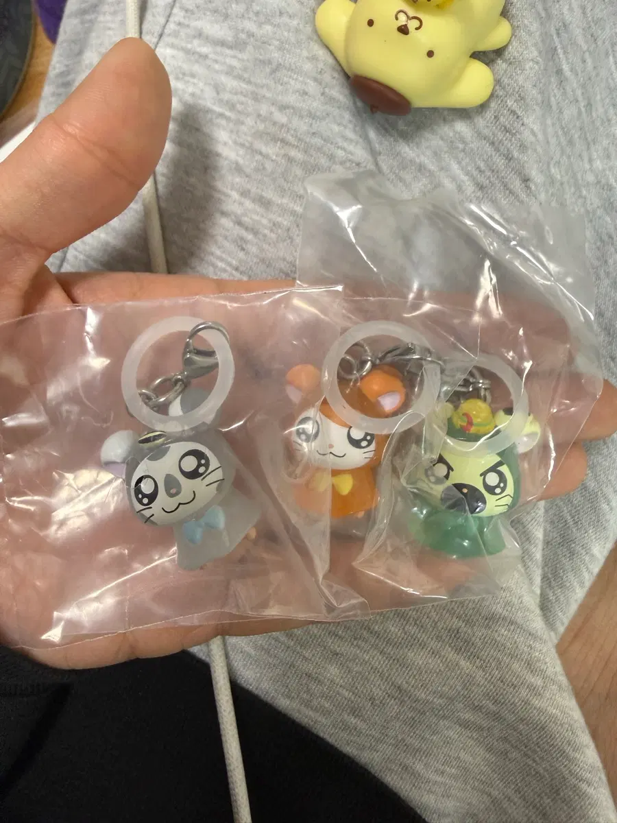 햄토리 1탄 메지루시 일괄 판매