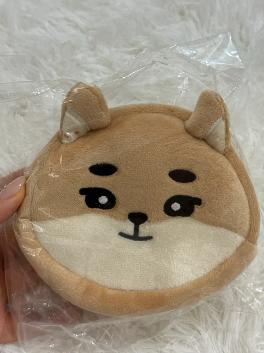 데이식스 요코하마 케 파우치 미사용 새상품
