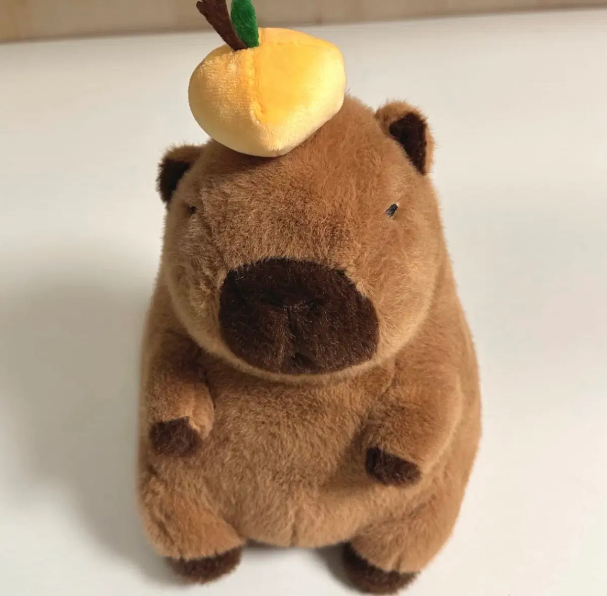유자 귤 카피바라 인형