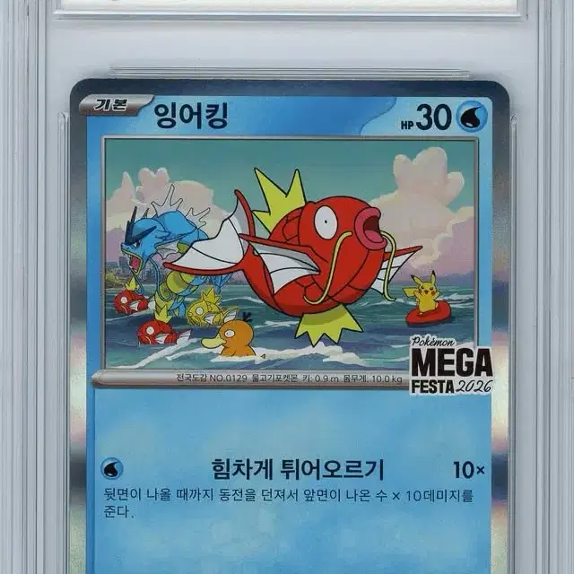 포켓몬카드 잉어킹 brg10 영문 잉어킹프로모카드 잉어킹