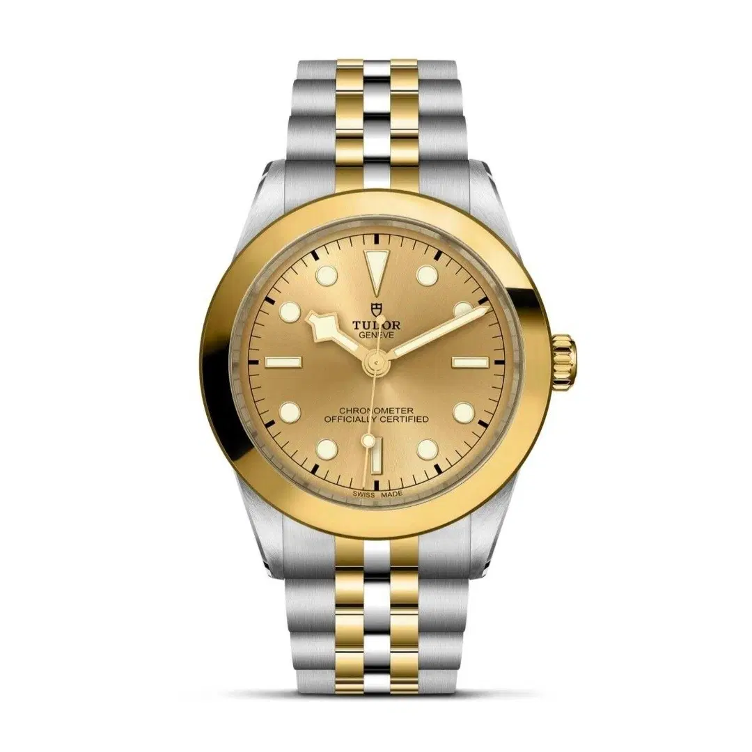 튜더 블랙베이 원 s&g 39mm 샴페인판 삽니다.