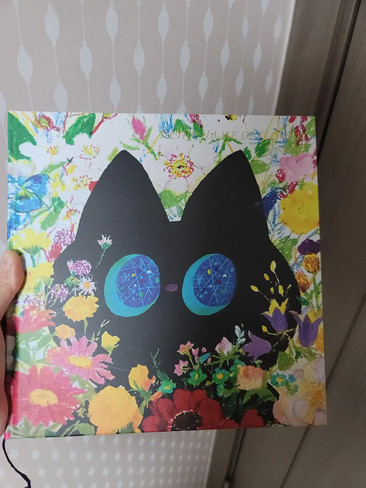텀블벅 펀딩 전포롱 작가 오일파스텔 일러스트 화집