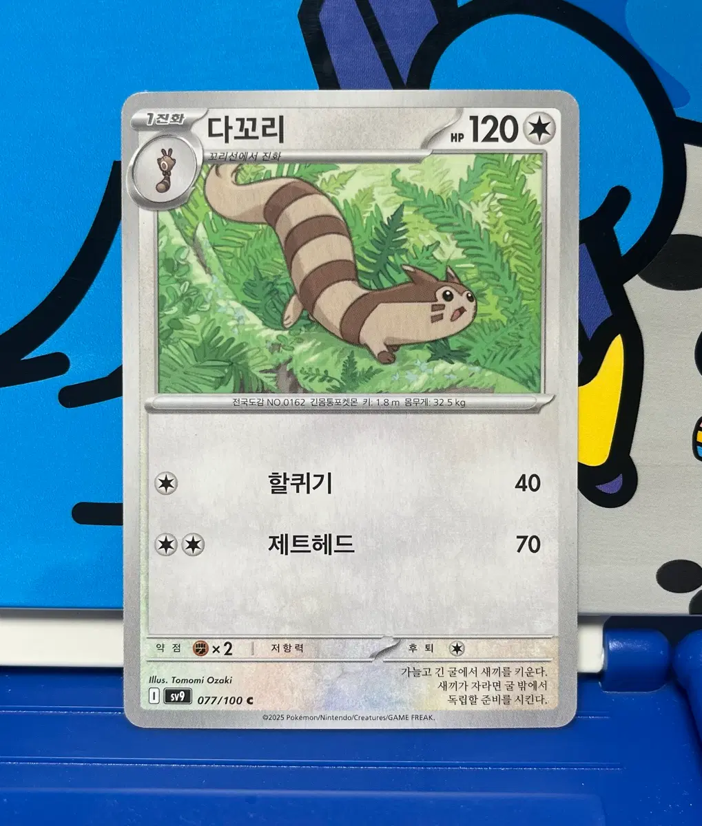 (포켓몬카드) 다꼬리 077/100