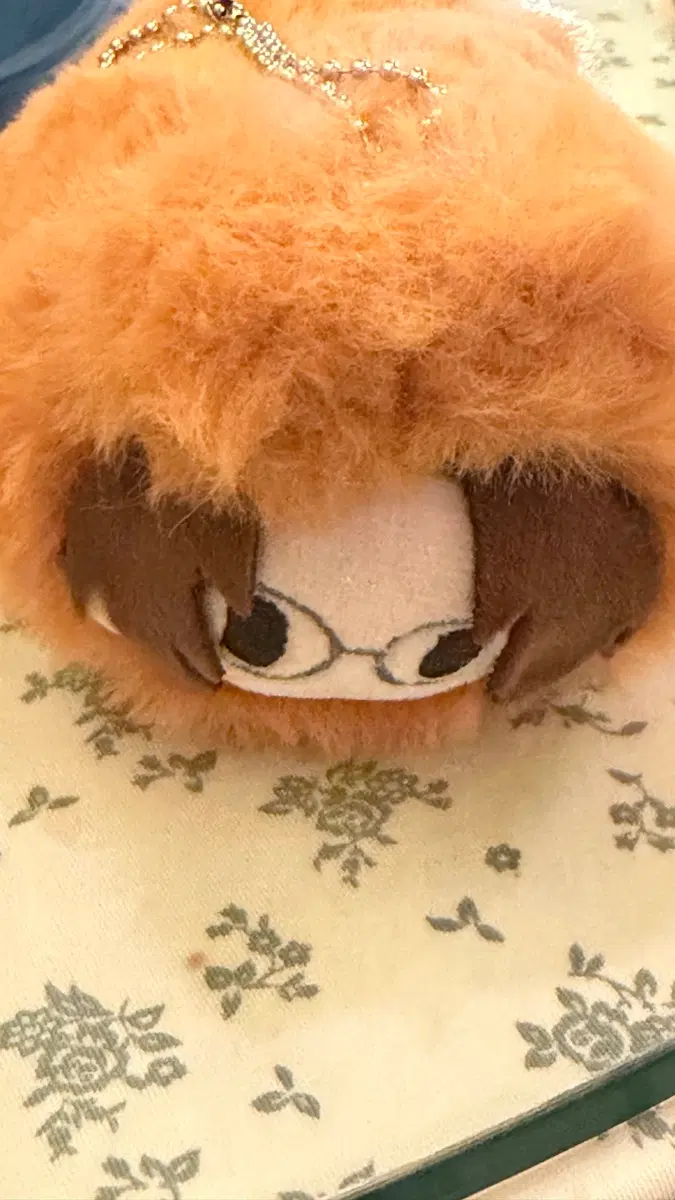 진격의 거인 여우 누이 한지