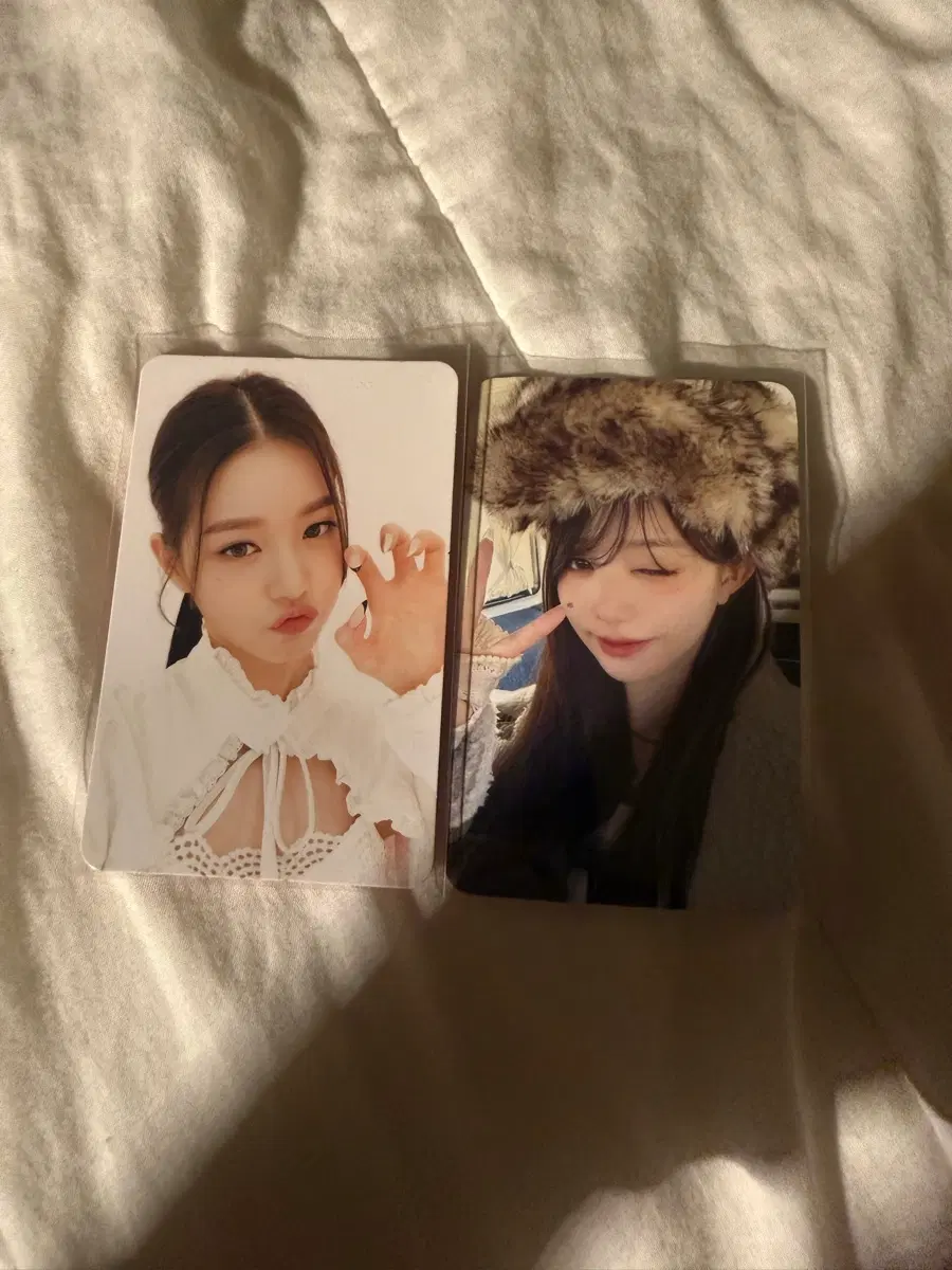 아이브 장원영 포카