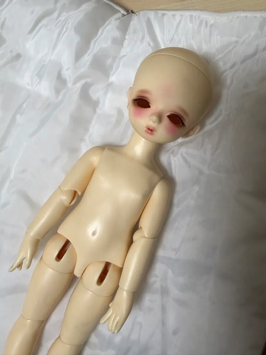 치카비 마가렛 판매