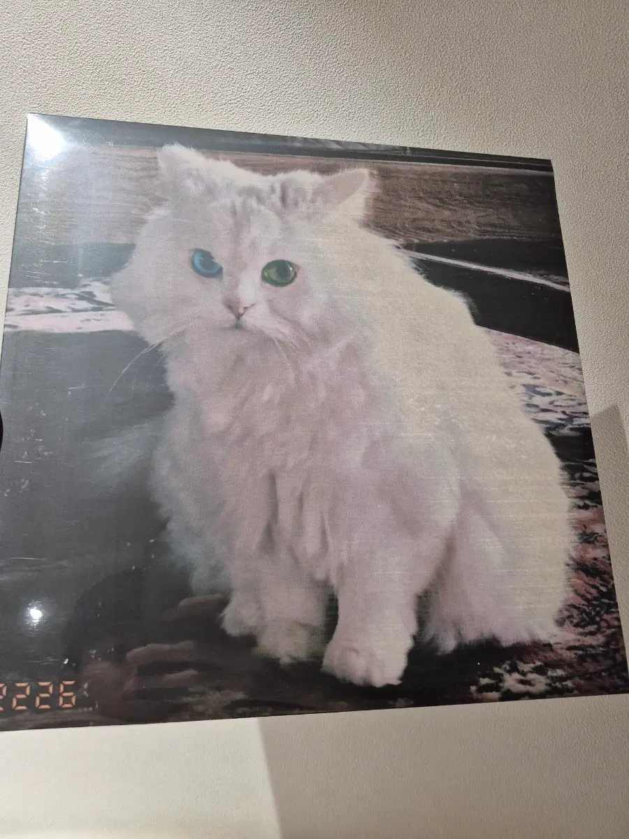세우 인 윤훼이 2226 LP
