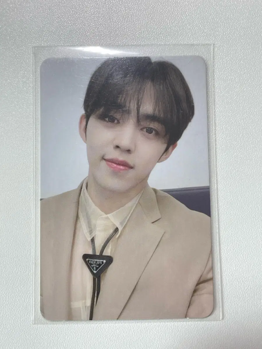 세븐틴 에스쿱스 헹가래 넷 포카