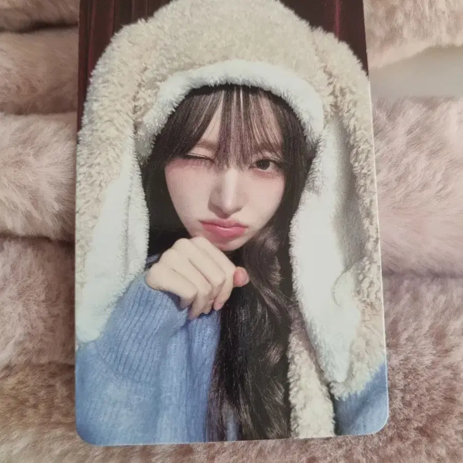공굿덤) 아이브 리즈포카!