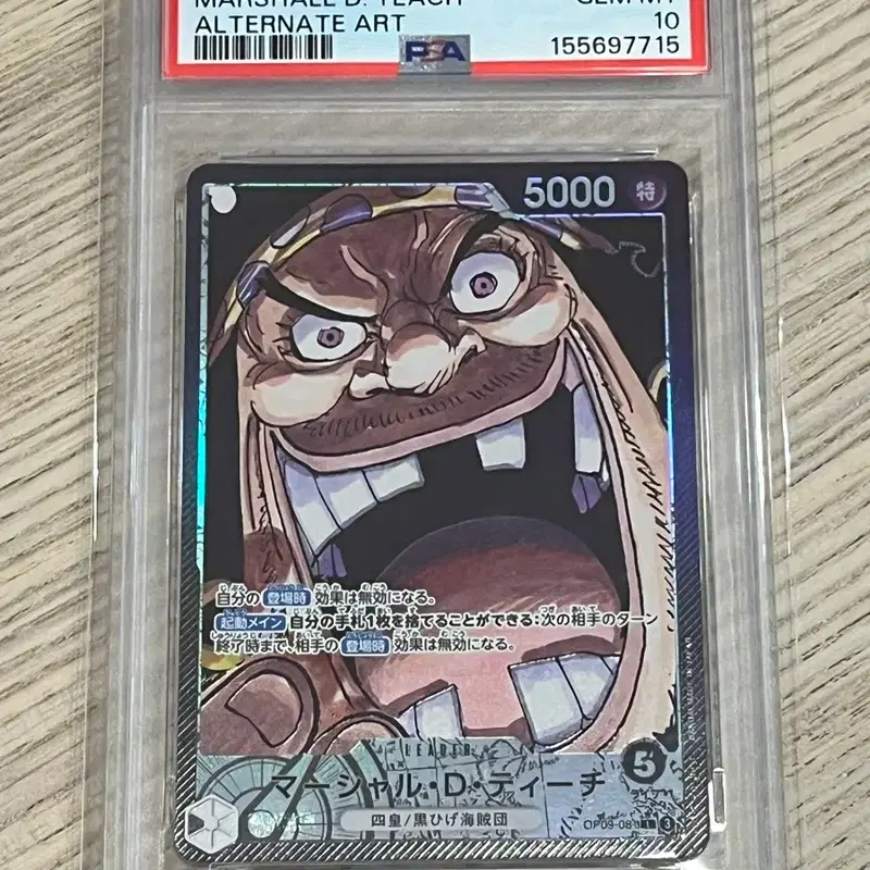 (일판 l-p) 원피스 카드 티치 psa10 등급