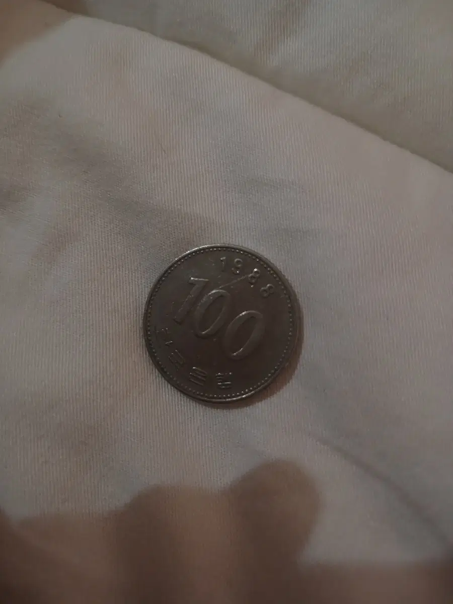 1988년 100원 동전