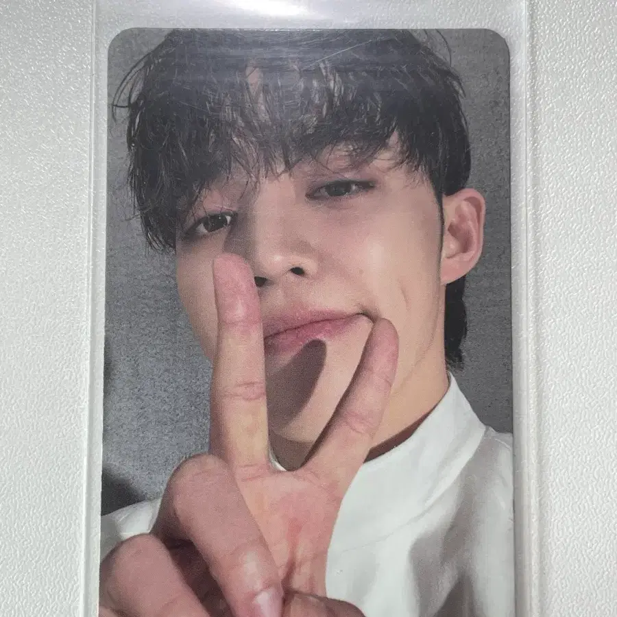세븐틴 에스쿱스 페더썬 포카